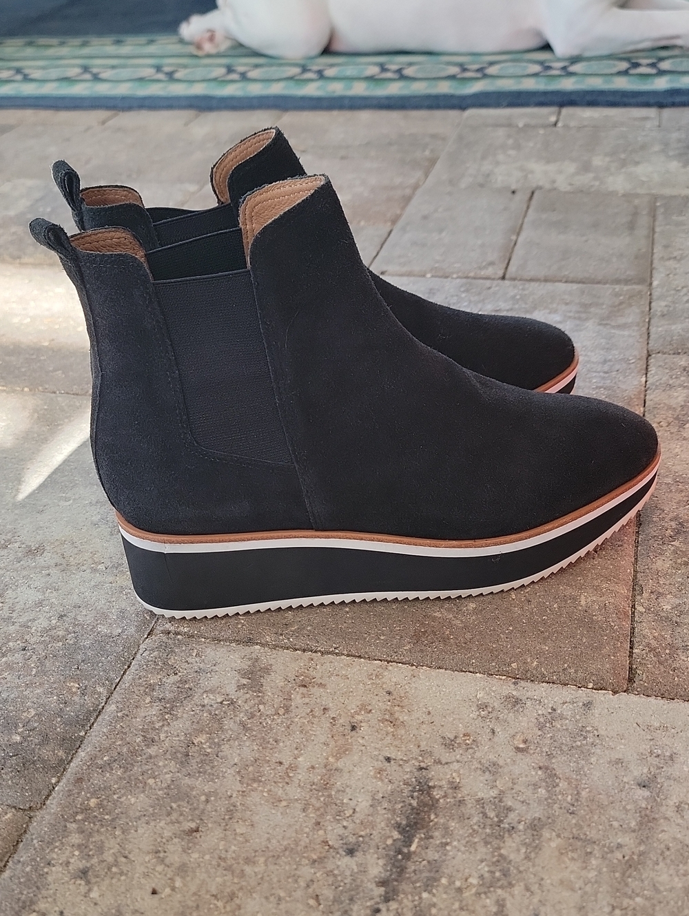 Antonio Melani Brixton Black Suede Platform Sneaker Bootie Sz 8.5